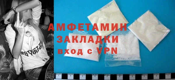 метадон Алексин