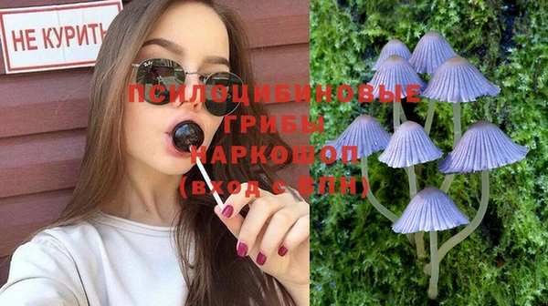 круглые Абаза