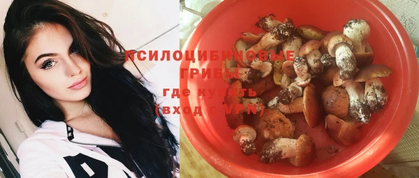 МДПВ Алзамай