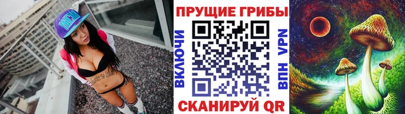 Псилоцибиновые грибы GOLDEN TEACHER  Волоколамск 